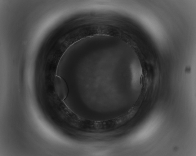 X0000102480383200808081311