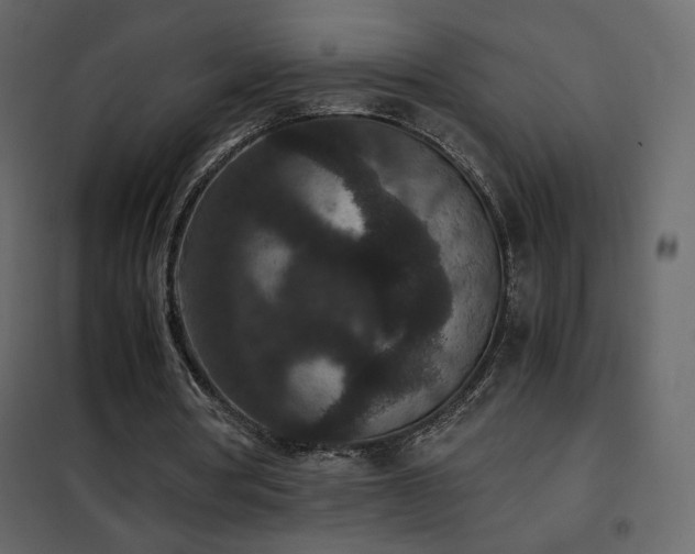 X0000102480386200808081310