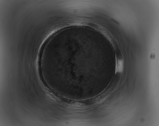 X0000102480387200808081310