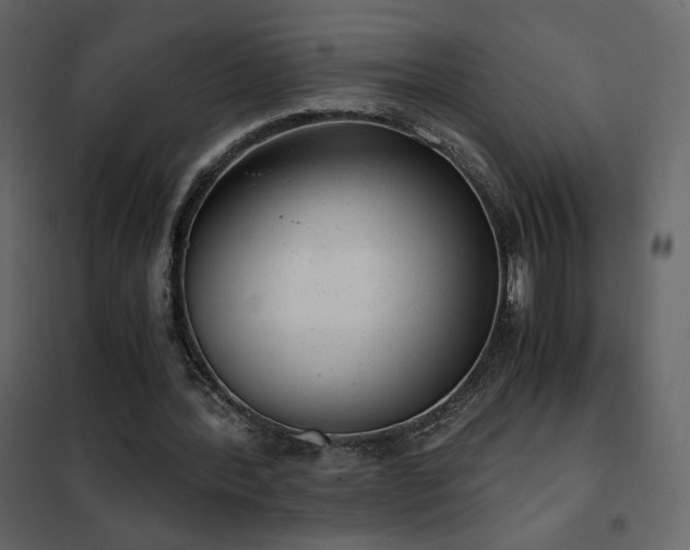 X0000102480388200808081310