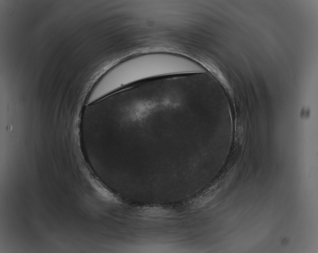 X0000102480389200808081310