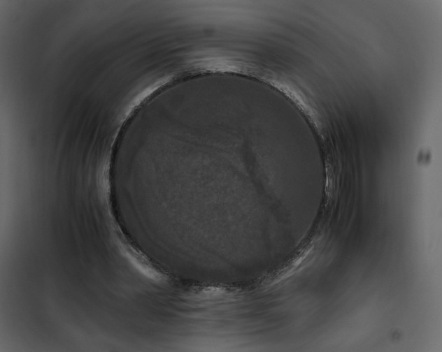 X0000102480390200808081310