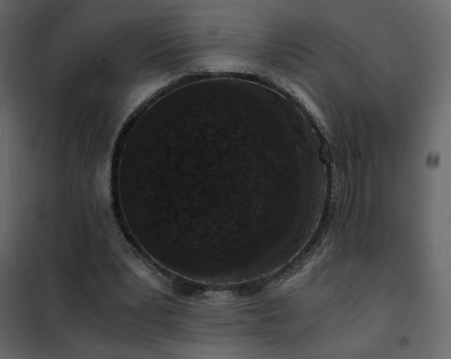 X0000102480391200808081310