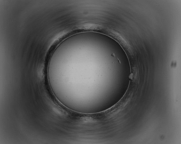 X0000102480392200808081310