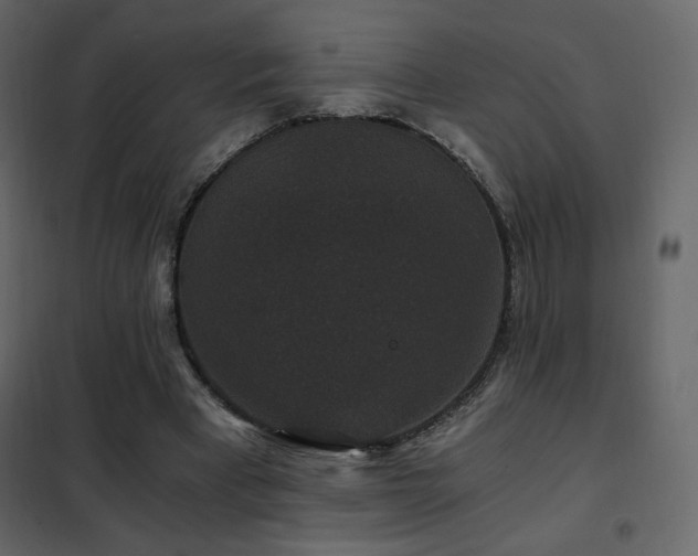 X0000102480393200808081310