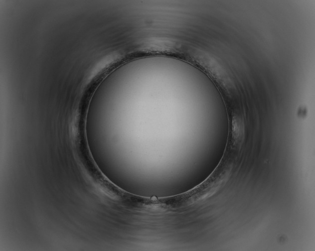 X0000102480396200808081310