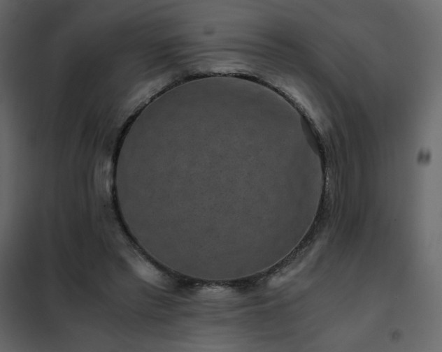 X0000102480397200808081310