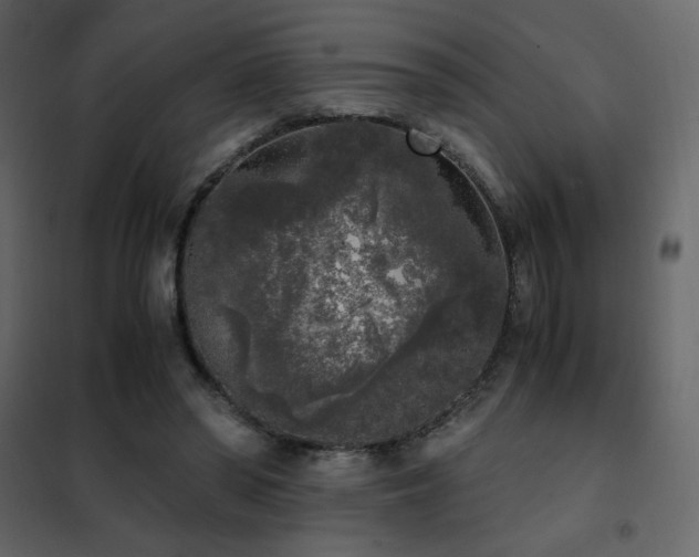 X0000102480398200808081310