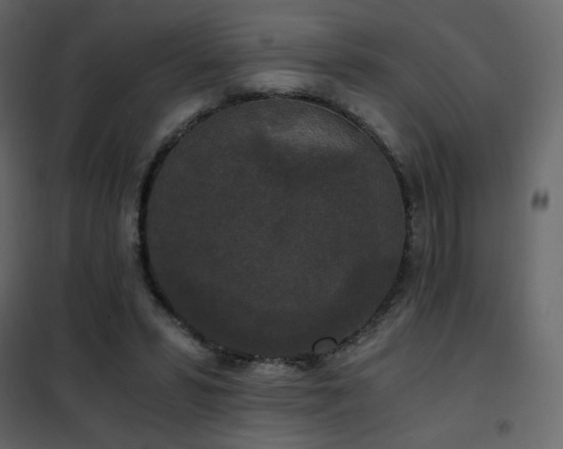 X0000102480399200808081310