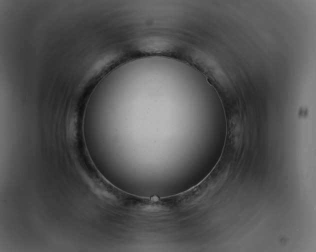 X0000102480400200808081310