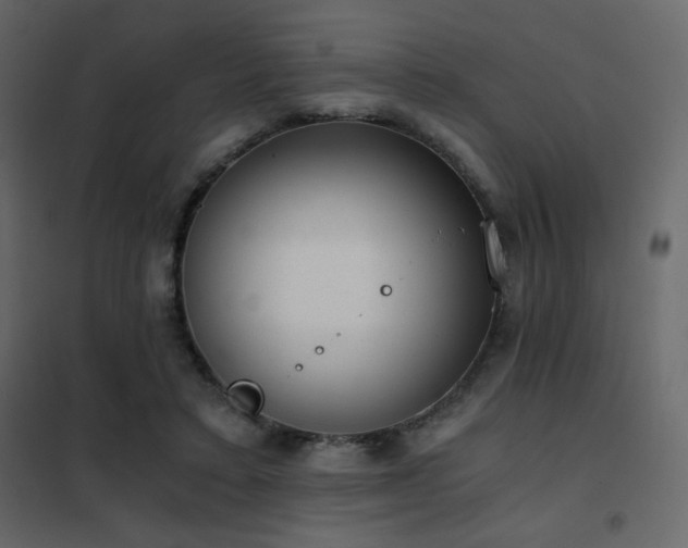 X0000102480403200808081310