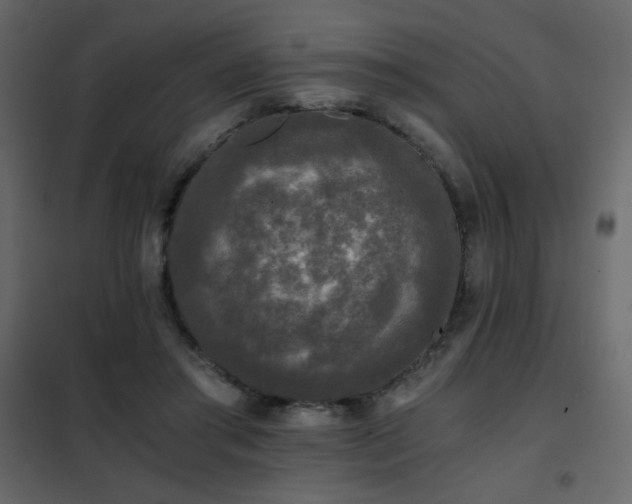 X0000102480405200808081310