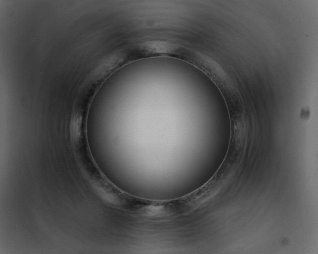X0000102480406200808081310