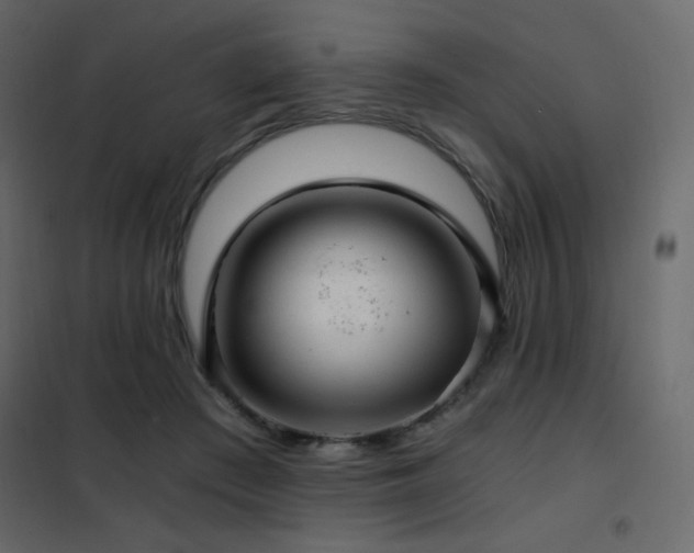 X0000102480409200808081310