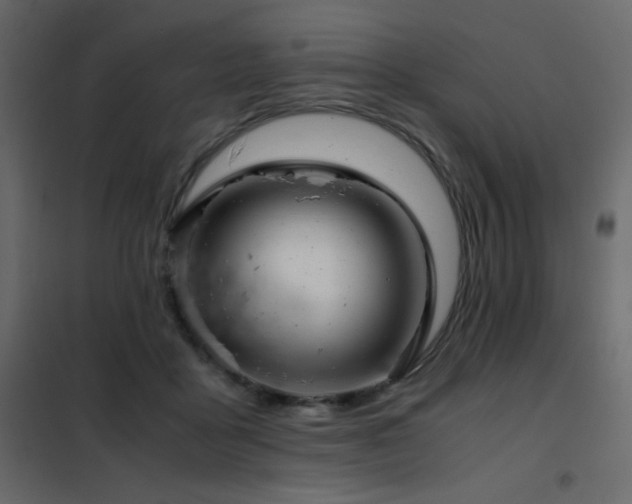 X0000102480411200808081310