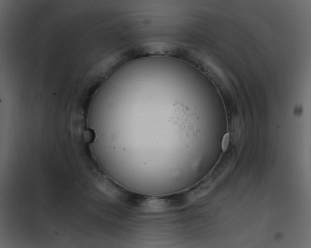 X0000102480413200808081310