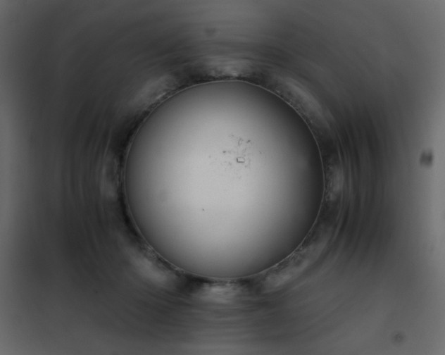 X0000102480414200808081310