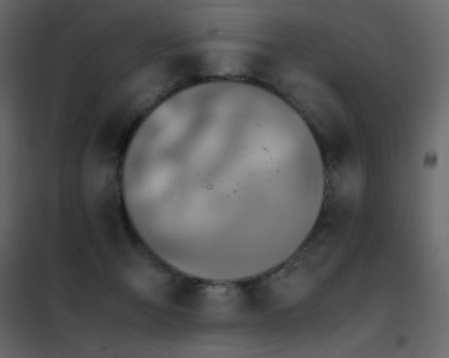 X0000102480415200808081310