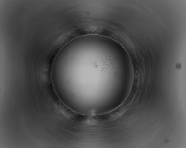 X0000102480416200808081310
