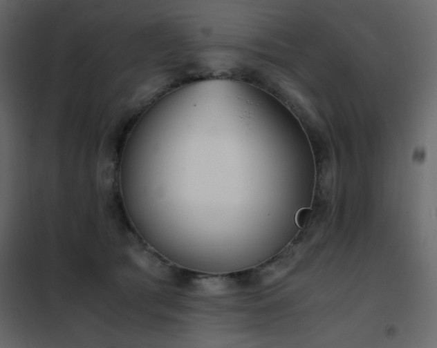 X0000102480417200808081310