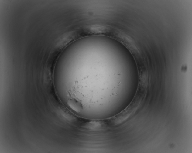 X0000102480418200808081310