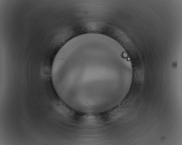 X0000102480419200808081310