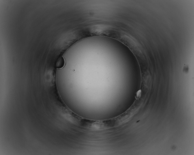 X0000102480420200808081309