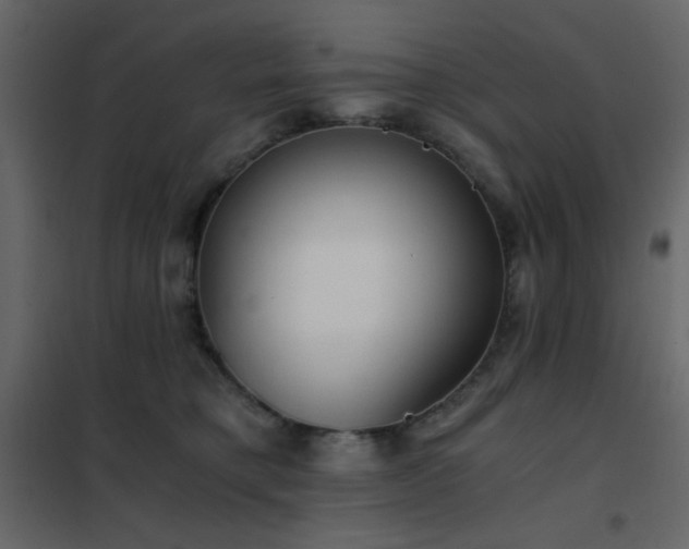 X0000102480421200808081309