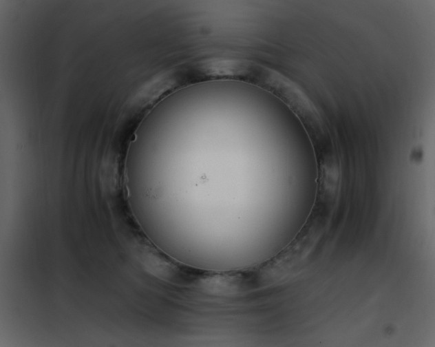 X0000102480422200808081309