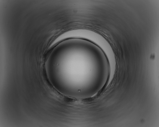 X0000102480423200808081309