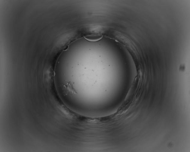 X0000102480424200808081309