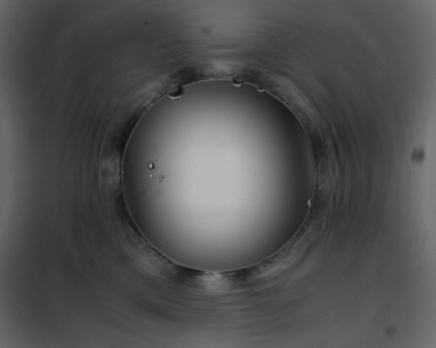 X0000102480425200808081309