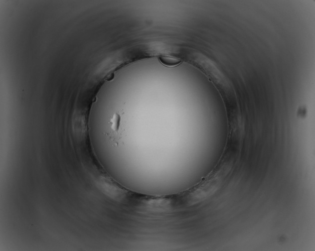 X0000102480426200808081309