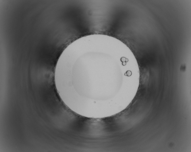 X0000102480427200808081309