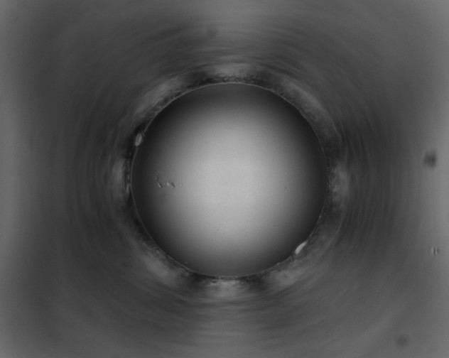 X0000102480428200808081309