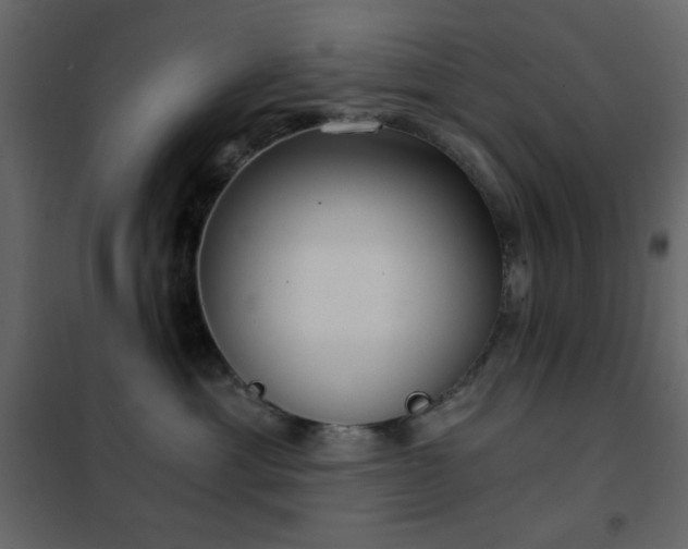 X0000102480429200808081309