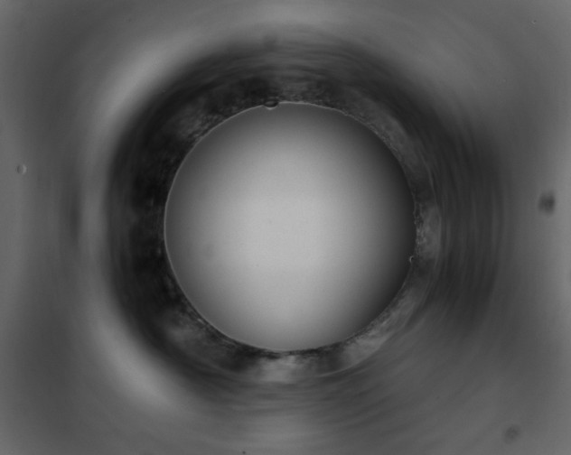 X0000102480430200808081309
