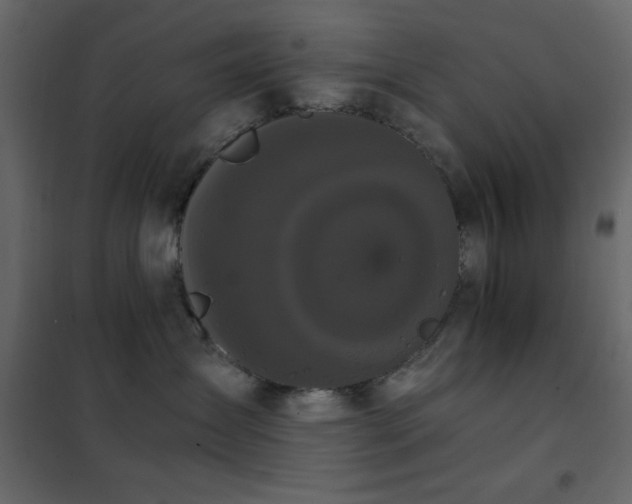X0000102480431200808081309