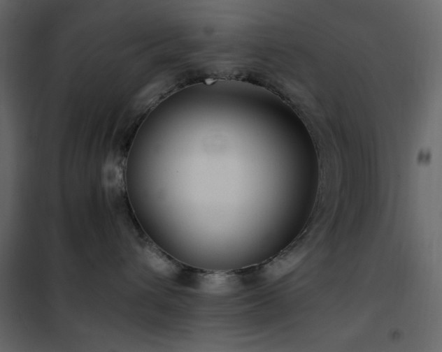 X0000102480432200808081309
