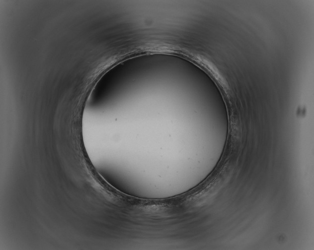 X0000102480433200808081309