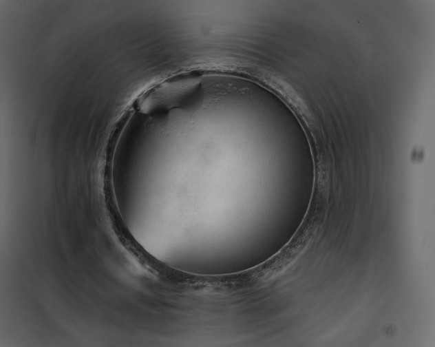 X0000102480434200808081309