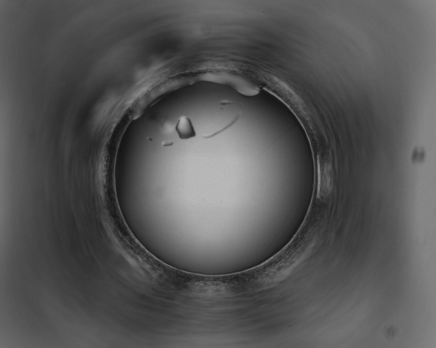X0000102480435200808081309