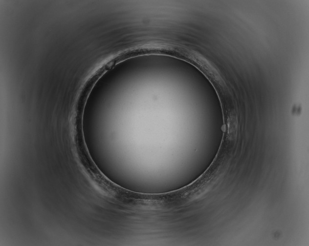 X0000102480436200808081309