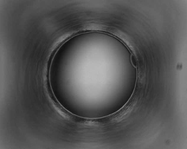 X0000102480437200808081309