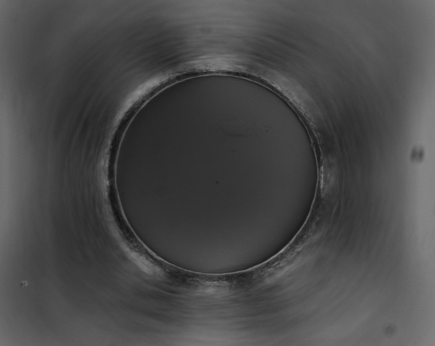 X0000102480438200808081309
