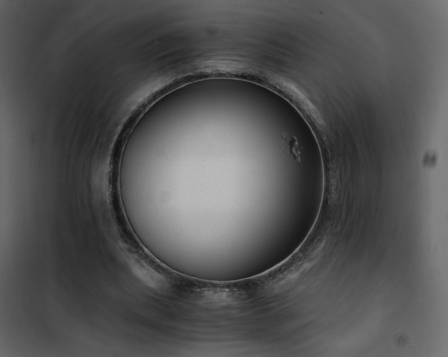 X0000102480439200808081309