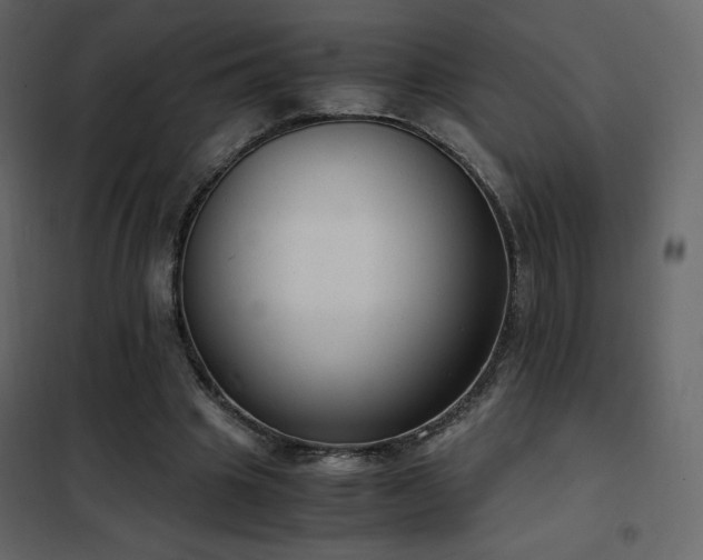 X0000102480441200808081309