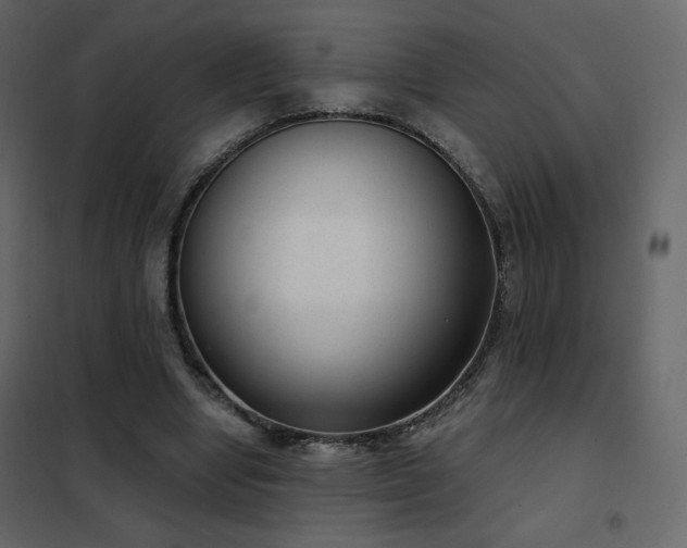 X0000102480442200808081309