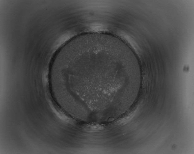 X0000102480443200808081309