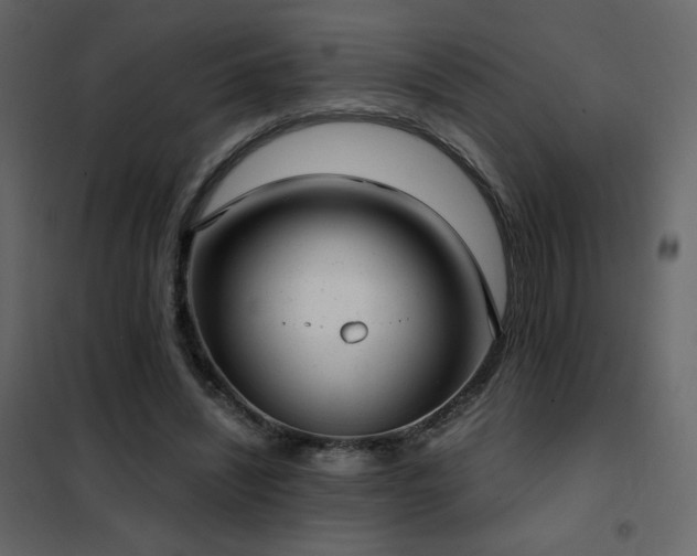 X0000102480444200808081309